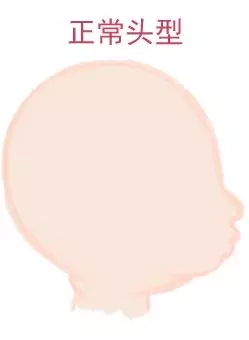 宝宝圆头好还是扁头好？这些奥秘好多爸妈都不知路3.webp.jpg